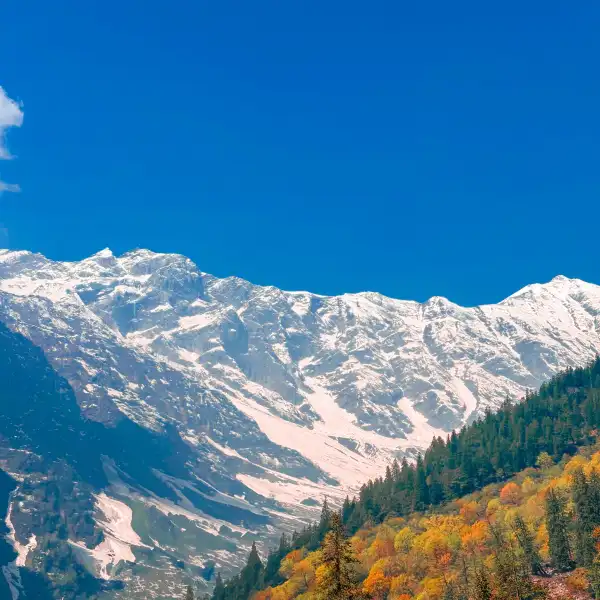Himachal Treks